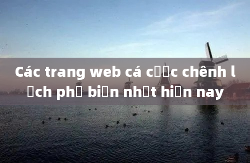 Các trang web cá cược chênh lệch phổ biến nhất hiện nay