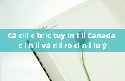 Cá cược trực tuyến tại Canada cơ hội và rủi ro cần lưu ý