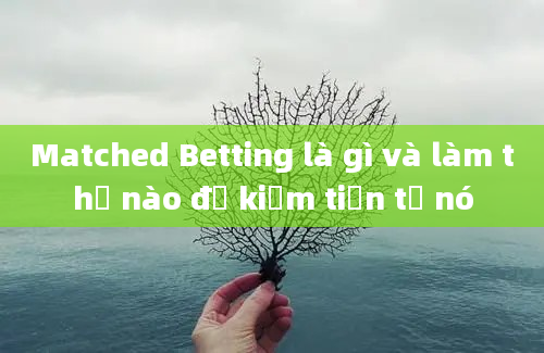 Matched Betting là gì và làm thế nào để kiếm tiền từ nó