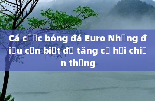 Cá cược bóng đá Euro Những điều cần biết để tăng cơ hội chiến thắng