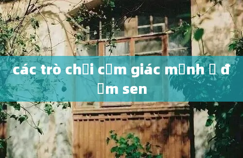 các trò chơi cảm giác mạnh ở đầm sen