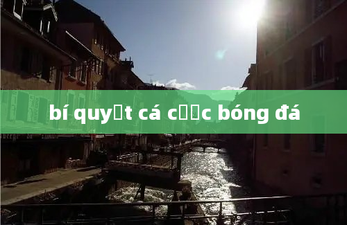 bí quyết cá cược bóng đá