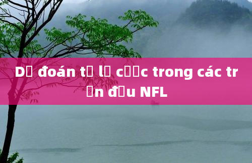 Dự đoán tỷ lệ cược trong các trận đấu NFL