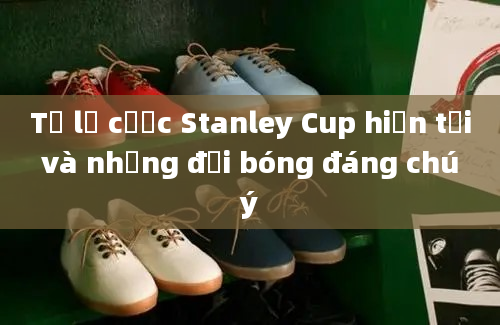 Tỷ lệ cược Stanley Cup hiện tại và những đội bóng đáng chú ý