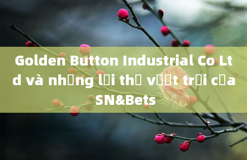 Golden Button Industrial Co Ltd và những lợi thế vượt trội của SN&Bets