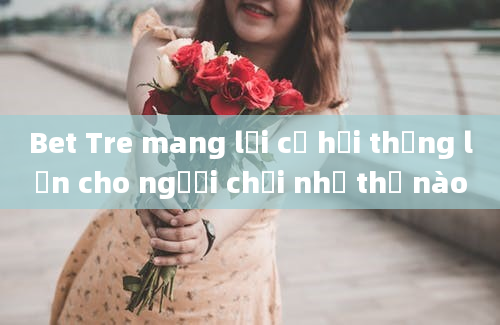 Bet Tre mang lại cơ hội thắng lớn cho người chơi như thế nào