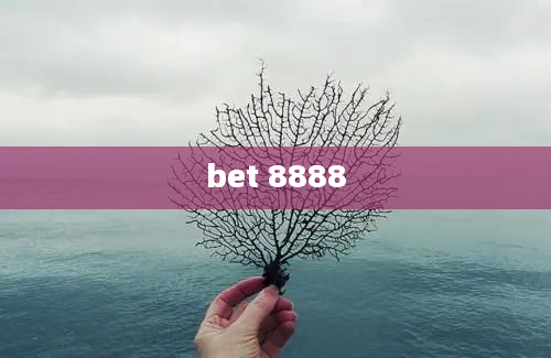 bet 8888