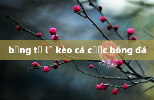 bảng tỷ lệ kèo cá cược bóng đá