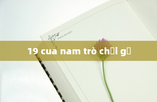 19 cua nam trò chơi gỗ