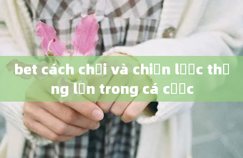 bet cách chơi và chiến lược thắng lớn trong cá cược