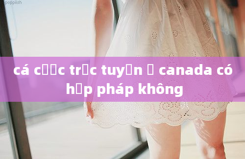 cá cược trực tuyến ở canada có hợp pháp không