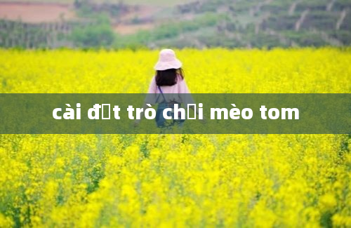 cài đặt trò chơi mèo tom