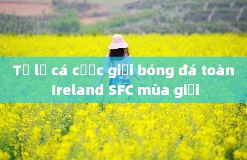 Tỷ lệ cá cược giải bóng đá toàn Ireland SFC mùa giải