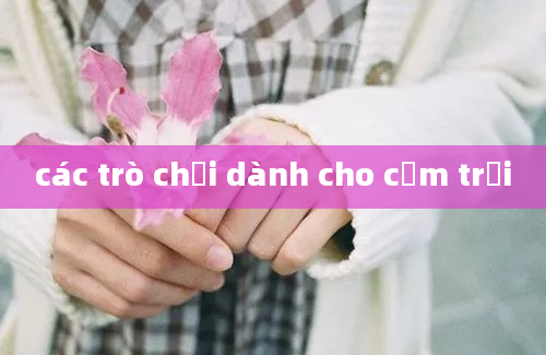 các trò chơi dành cho cắm trại