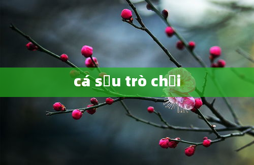 cá sấu trò chơi