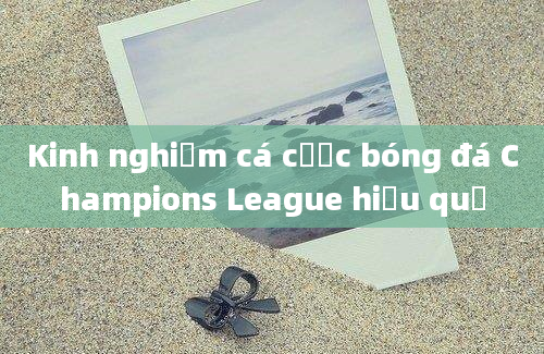 Kinh nghiệm cá cược bóng đá Champions League hiệu quả