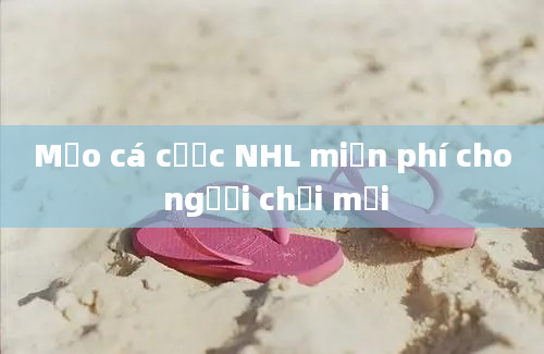 Mẹo cá cược NHL miễn phí cho người chơi mới