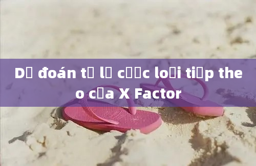 Dự đoán tỷ lệ cược loại tiếp theo của X Factor