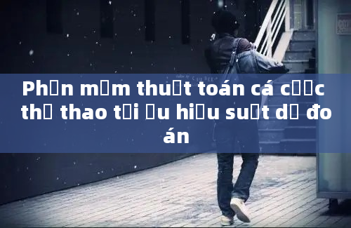 Phần mềm thuật toán cá cược thể thao tối ưu hiệu suất dự đoán