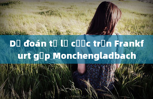 Dự đoán tỷ lệ cược trận Frankfurt gặp Monchengladbach