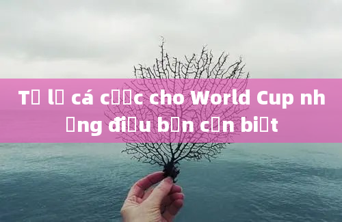 Tỷ lệ cá cược cho World Cup những điều bạn cần biết