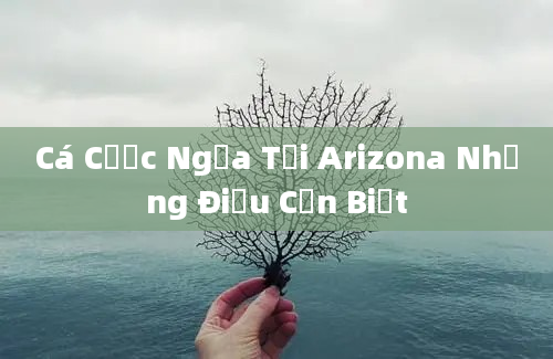 Cá Cược Ngựa Tại Arizona Những Điều Cần Biết