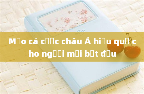 Mẹo cá cược châu Á hiệu quả cho người mới bắt đầu