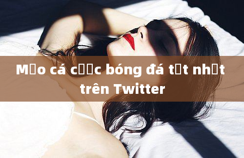 Mẹo cá cược bóng đá tốt nhất trên Twitter