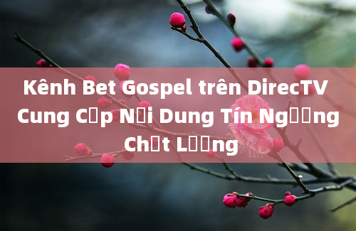 Kênh Bet Gospel trên DirecTV Cung Cấp Nội Dung Tín Ngưỡng Chất Lượng