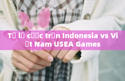 Tỷ lệ cược trận Indonesia vs Việt Nam USEA Games