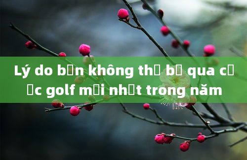 Lý do bạn không thể bỏ qua cược golf mới nhất trong năm