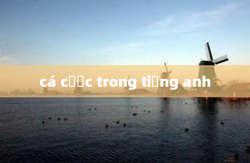 cá cược trong tiếng anh