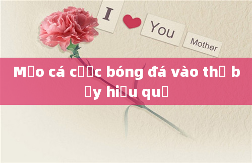 Mẹo cá cược bóng đá vào thứ bảy hiệu quả