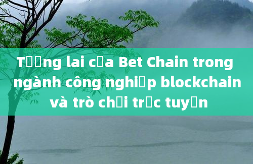 Tương lai của Bet Chain trong ngành công nghiệp blockchain và trò chơi trực tuyến