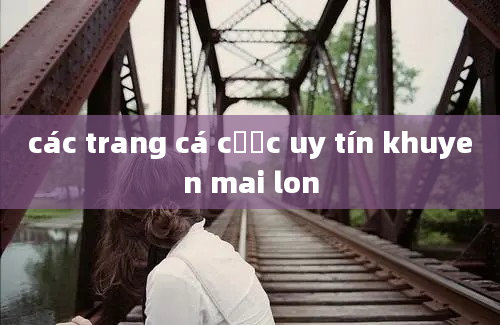 các trang cá cược uy tín khuyen mai lon