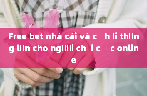 Free bet nhà cái và cơ hội thắng lớn cho người chơi cược online