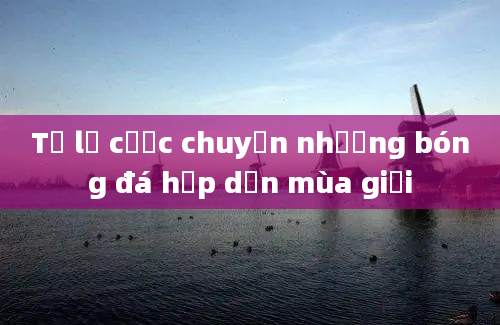 Tỷ lệ cược chuyển nhượng bóng đá hấp dẫn mùa giải