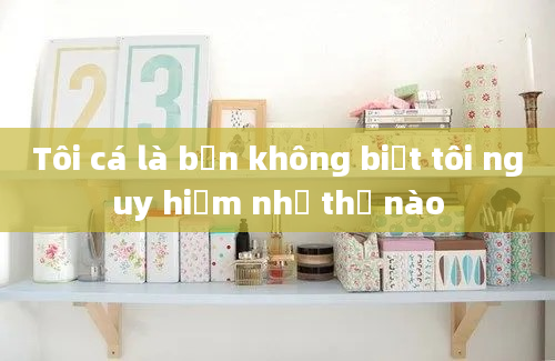 Tôi cá là bạn không biết tôi nguy hiểm như thế nào