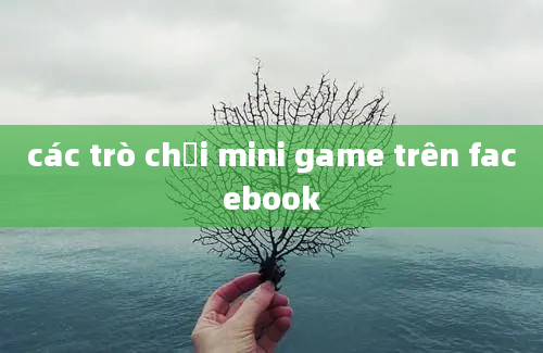 các trò chơi mini game trên facebook