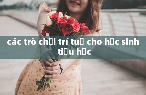 các trò chơi trí tuệ cho học sinh tiểu học