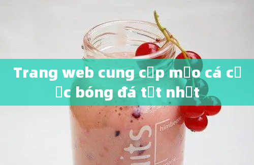 Trang web cung cấp mẹo cá cược bóng đá tốt nhất