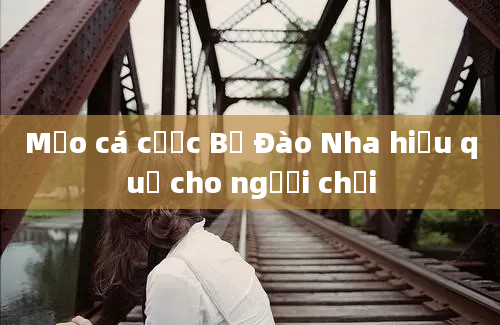 Mẹo cá cược Bồ Đào Nha hiệu quả cho người chơi