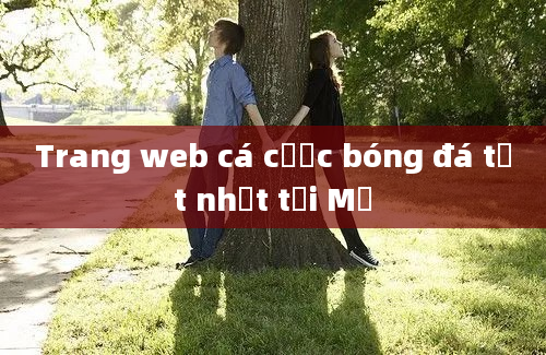 Trang web cá cược bóng đá tốt nhất tại Mỹ