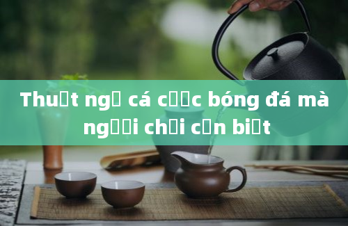 Thuật ngữ cá cược bóng đá mà người chơi cần biết