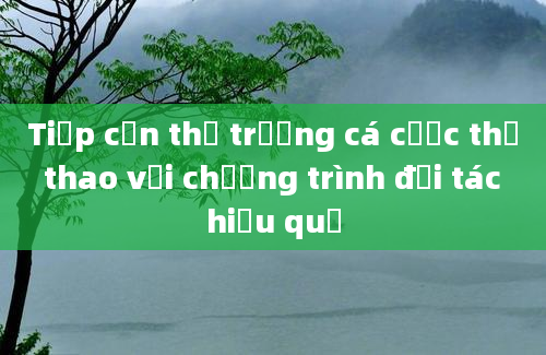 Tiếp cận thị trường cá cược thể thao với chương trình đối tác hiệu quả