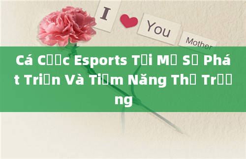 Cá Cược Esports Tại Mỹ Sự Phát Triển Và Tiềm Năng Thị Trường