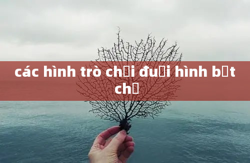 các hình trò chơi đuổi hình bắt chữ