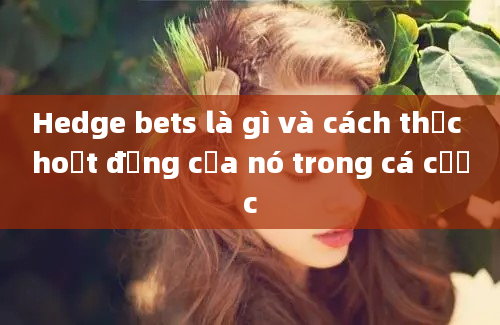 Hedge bets là gì và cách thức hoạt động của nó trong cá cược