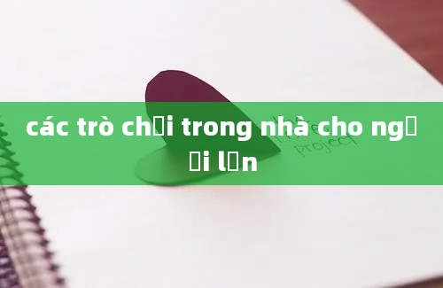 các trò chơi trong nhà cho người lớn