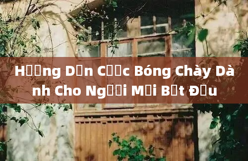 Hướng Dẫn Cược Bóng Chày Dành Cho Người Mới Bắt Đầu